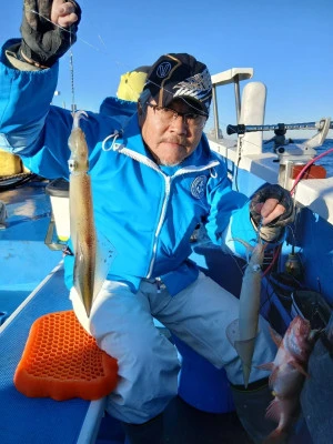 豊丸の2026年1月24日(土)2枚目の写真