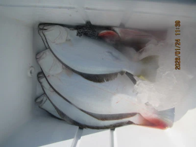 大洗丸の2026年1月24日(土)5枚目の写真