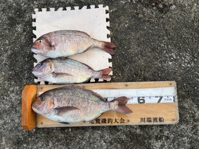 川端渡船の2026年1月24日(土)1枚目の写真