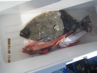 大洗丸の2026年1月25日(日)2枚目の写真