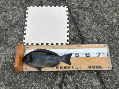 川端渡船の2026年1月25日(日)1枚目の写真