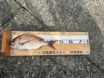 川端渡船の2026年1月25日(日)2枚目の写真