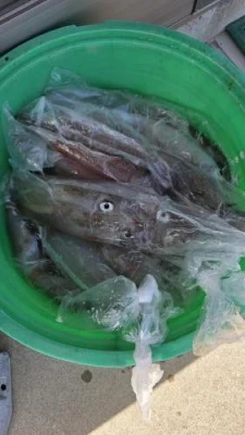 信栄丸の2026年1月26日(月)3枚目の写真