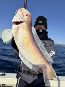 ZEST号の2026年1月26日(月)4枚目の写真