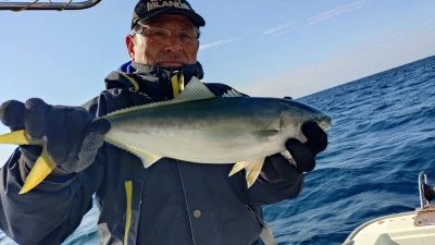 第三飛翔の2026年1月26日(月)5枚目の写真