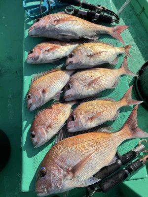 日正丸の2026年1月27日(火)4枚目の写真