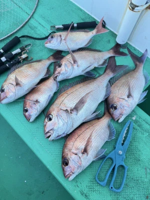 日正丸の2026年1月27日(火)5枚目の写真