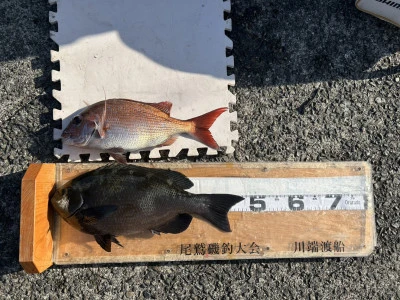 川端渡船の2026年1月27日(火)1枚目の写真