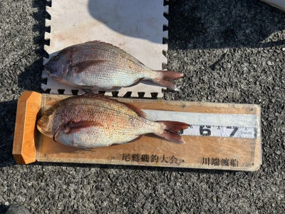 川端渡船の2026年1月27日(火)2枚目の写真