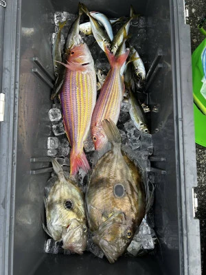 愛晃丸フィッシングの2026年1月24日(土)1枚目の写真