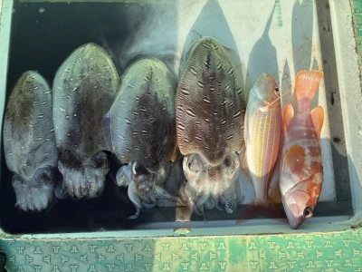 愛晃丸フィッシングの2026年1月26日(月)4枚目の写真