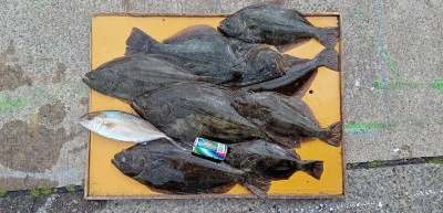 大盛丸の2026年1月28日(水)2枚目の写真