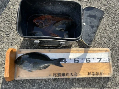 川端渡船の2026年1月28日(水)1枚目の写真