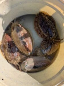 松新丸の2026年1月27日(火)4枚目の写真