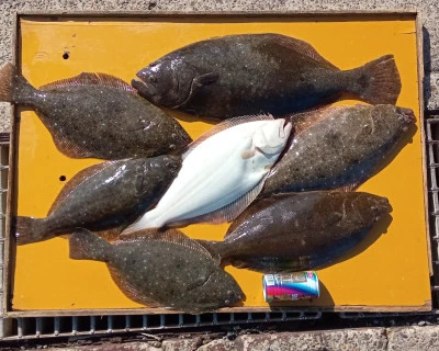 大盛丸の2026年1月30日(金)1枚目の写真