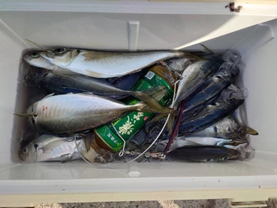 釣船 五郎丸の2026年1月31日(土)3枚目の写真