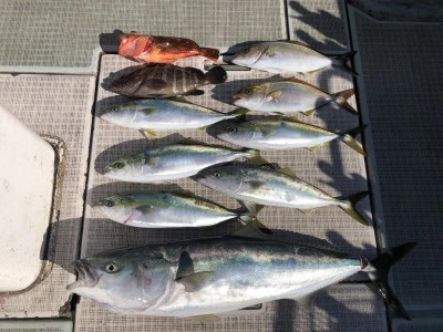 ARCADIA SALTWATER SERVICEの2026年2月1日(日)5枚目の写真