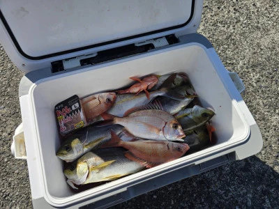 勇幸丸の2026年2月1日(日)1枚目の写真