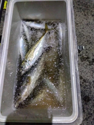 優幸丸の2026年2月1日(日)1枚目の写真