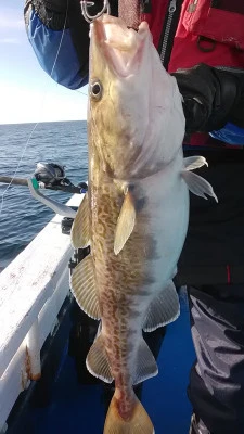 釣りキチ丸の2026年2月1日(日)4枚目の写真