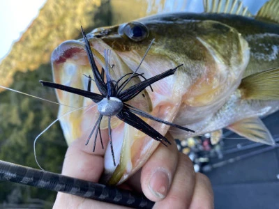 バッシングロードの2026年2月1日(日)2枚目の写真