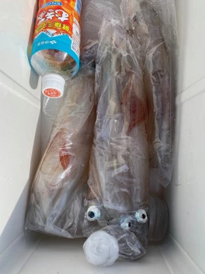 大春丸の2026年2月5日(木)3枚目の写真