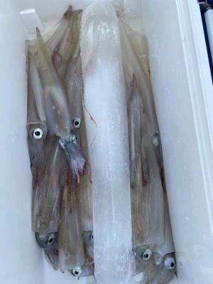 大春丸の2026年2月5日(木)4枚目の写真