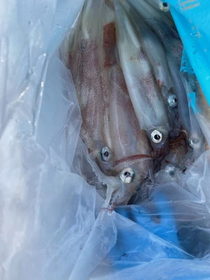 大春丸の2026年2月5日(木)5枚目の写真