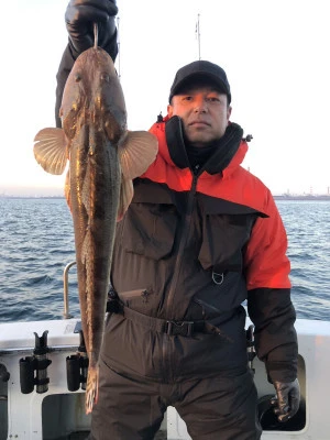 ARCADIA SALTWATER SERVICEの2026年2月5日(木)1枚目の写真