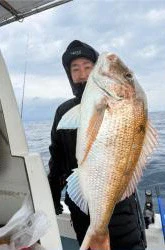 菜々海IIの2026年2月5日(木)3枚目の写真