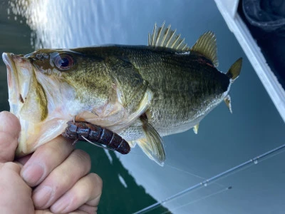 バッシングロードの2026年2月5日(木)2枚目の写真