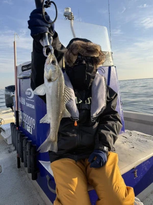 林遊船の2026年2月6日(金)1枚目の写真