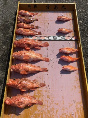 愛昌丸の2026年2月6日(金)4枚目の写真