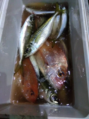 優幸丸の2026年2月6日(金)1枚目の写真