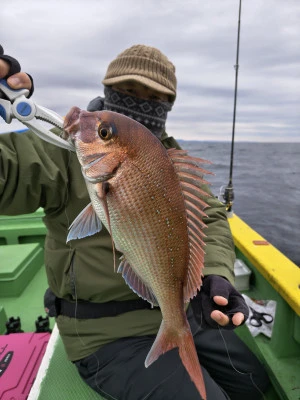 豊丸の2026年2月7日(土)4枚目の写真
