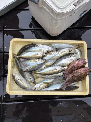 荒川屋の2026年2月7日(土)2枚目の写真