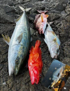 蝶栄丸の2026年1月26日(月)2枚目の写真