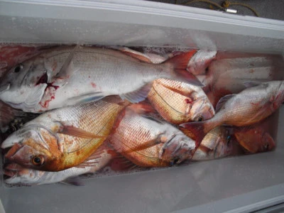 絢美丸の2025年12月11日(木)2枚目の写真