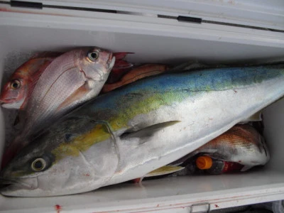 絢美丸の2025年12月11日(木)5枚目の写真