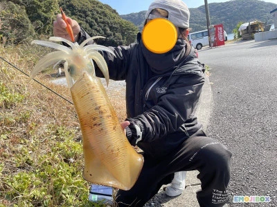 真珠・山本釣り筏の2026年2月2日(月)1枚目の写真