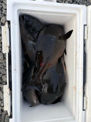 ふかしま丸の2026年2月4日(水)1枚目の写真