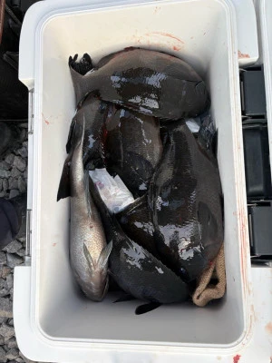 ふかしま丸の2026年2月4日(水)3枚目の写真