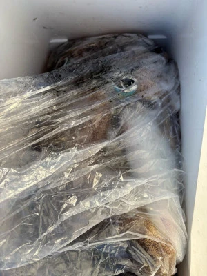 ふかしま丸の2026年2月4日(水)4枚目の写真