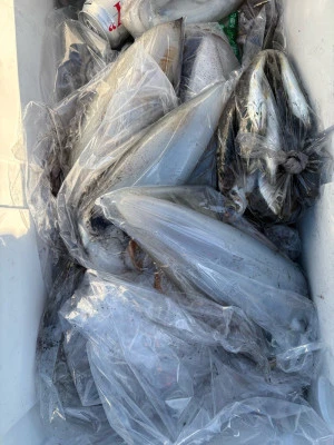 ふかしま丸の2026年2月4日(水)5枚目の写真