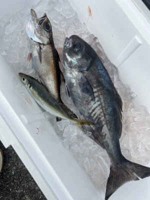 愛昌丸の2026年2月8日(日)5枚目の写真