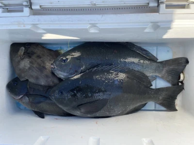 第３ 正幸丸の2026年2月5日(木)2枚目の写真