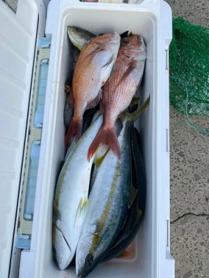 丸銀釣りセンターの2026年2月6日(金)2枚目の写真