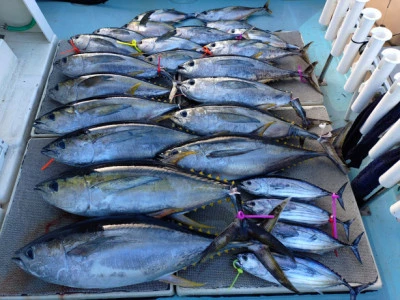 幸丸の2026年1月26日(月)3枚目の写真