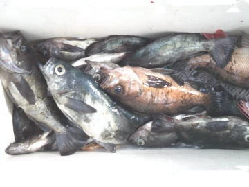 五郎丸の2026年2月7日(土)3枚目の写真