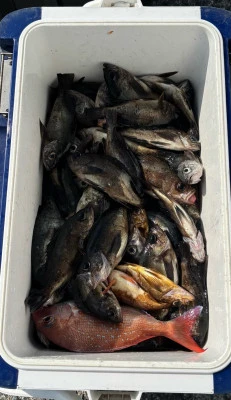 さくらの2026年2月5日(木)2枚目の写真